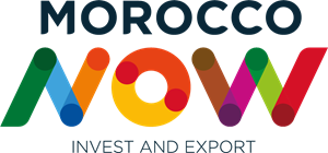morocco-now-logo-CE659DA085-seeklogo.com